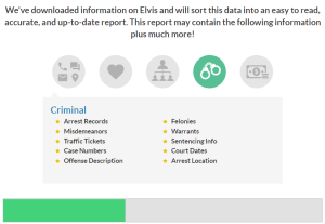 Instant Checkmate criminal record search